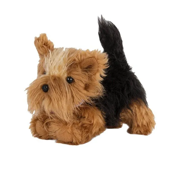 Piesek Yorkshire Terrier Pup